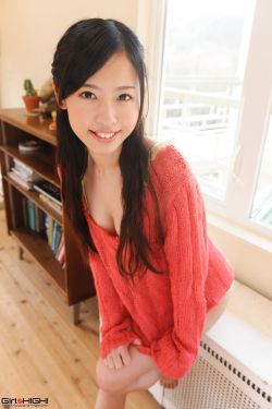 新女婿时代